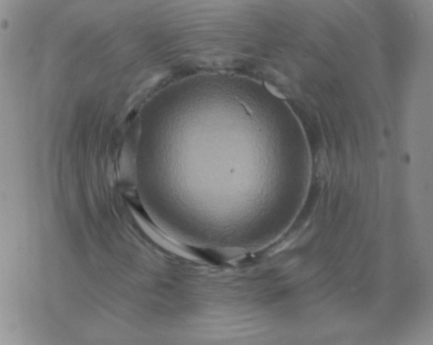 X0000070431202200606231909