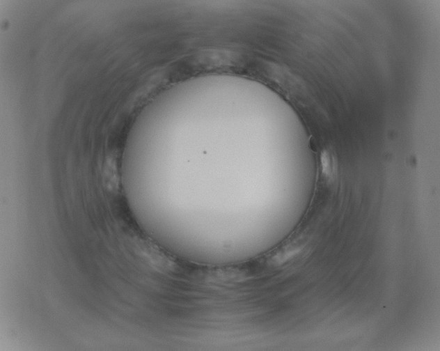 X0000070431203200606231909