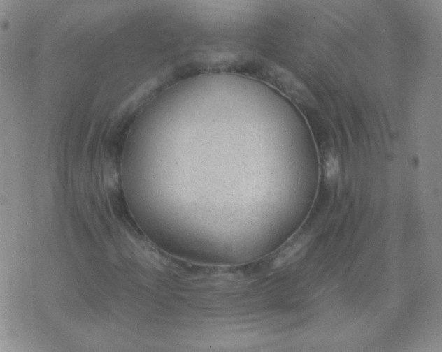 X0000070431204200606231909