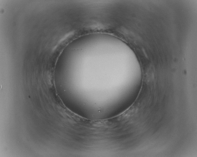 X0000070431205200606231909