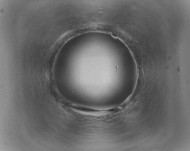 X0000070431206200606231909