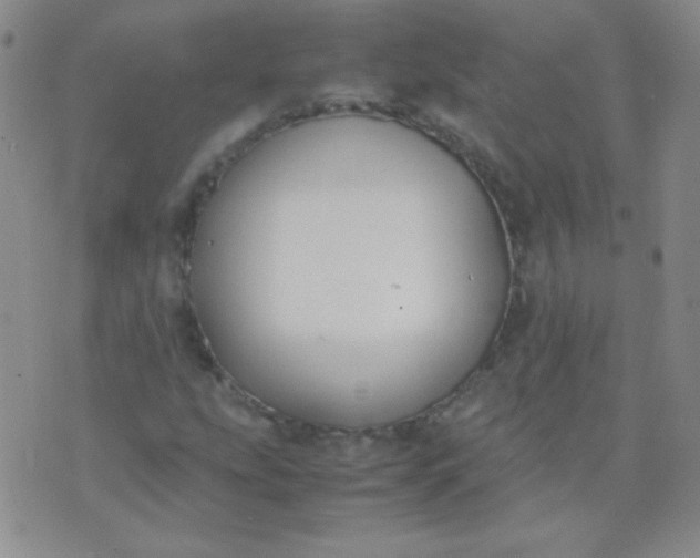 X0000070431207200606231909