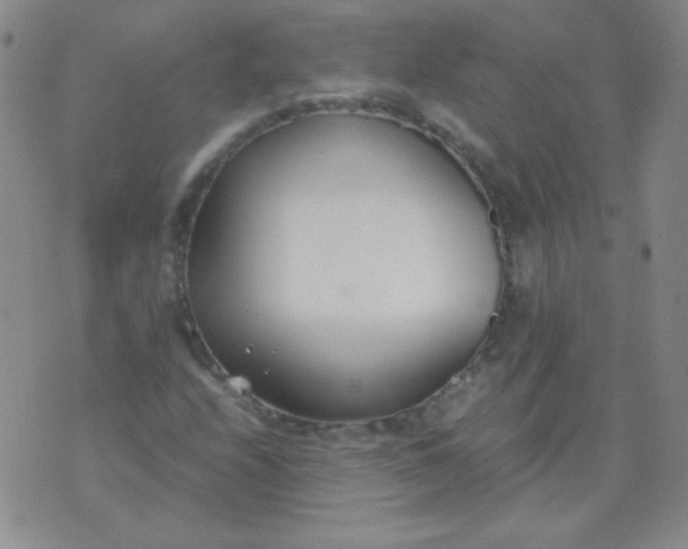 X0000070431208200606231909