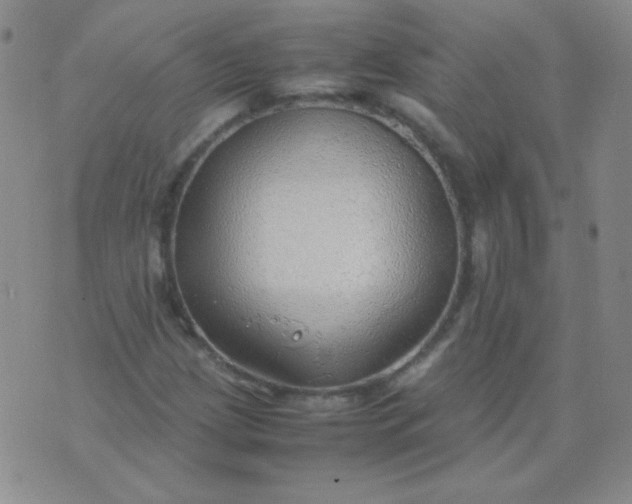 X0000070431209200606231909