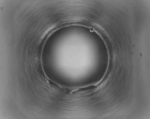 X0000070431210200606231909