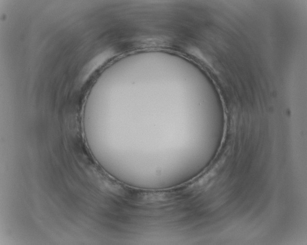 X0000070431211200606231909