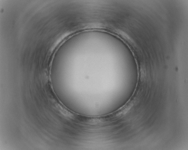 X0000070431212200606231909