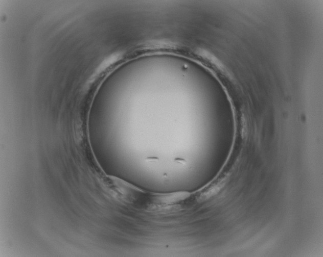 X0000070431213200606231909