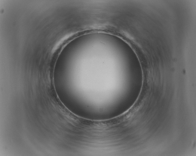 X0000070431214200606231909