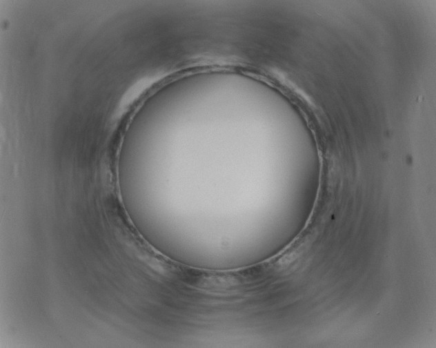 X0000070431215200606231909