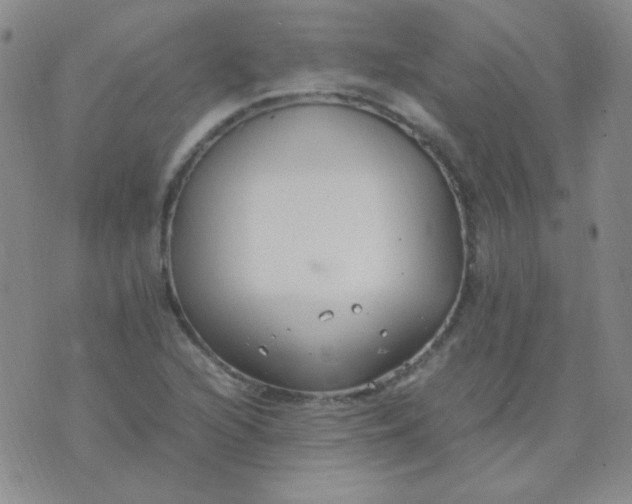 X0000070431216200606231909