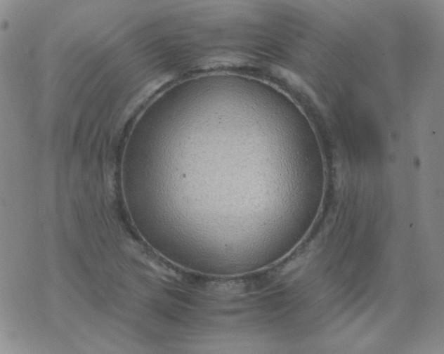 X0000070431217200606231909