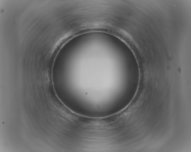 X0000070431218200606231909