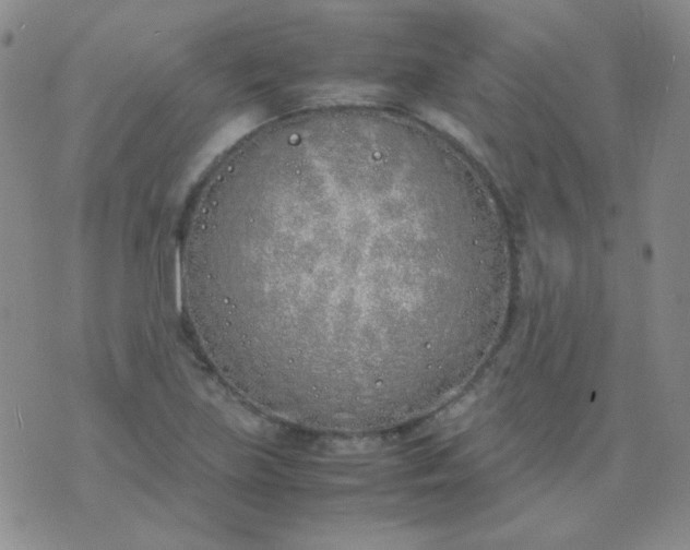 X0000070431219200606231909