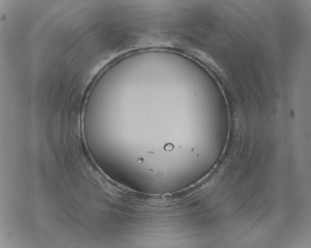 X0000070431220200606231909