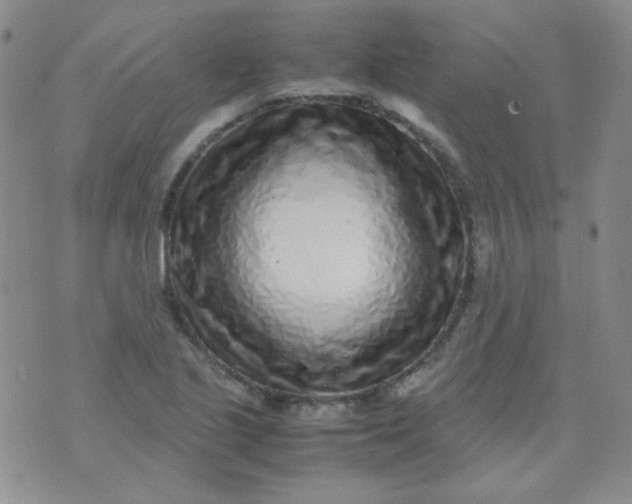 X0000070431221200606231910