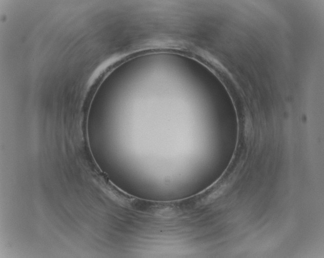 X0000070431222200606231910