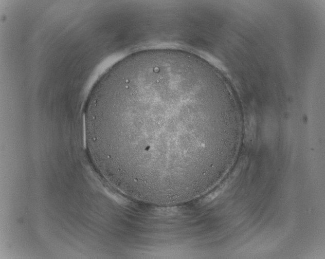 X0000070431223200606231910