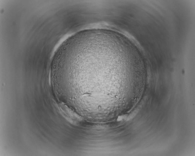 X0000070431224200606231910