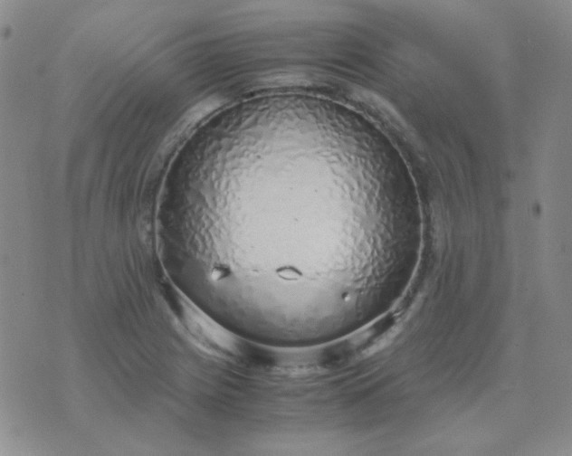 X0000070431225200606231910