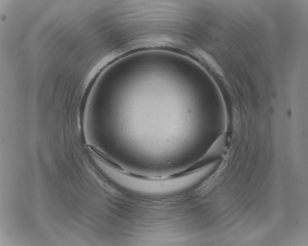 X0000070431226200606231910