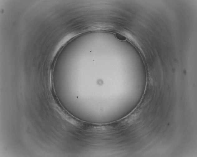 X0000070431227200606231910