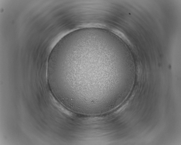 X0000070431228200606231910