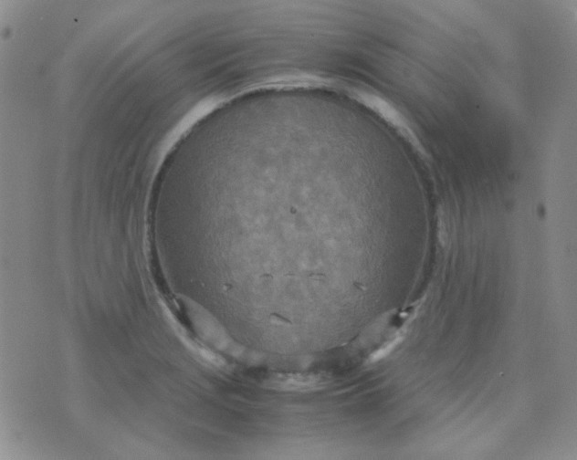 X0000070431229200606231910