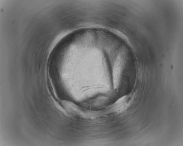 X0000070431231200606231910