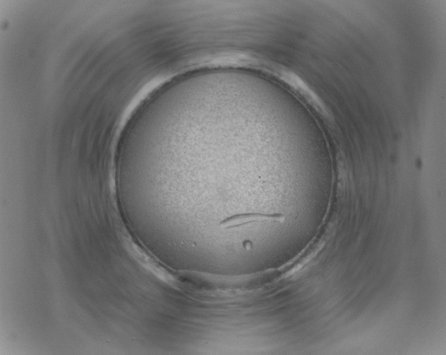 X0000070431232200606231910