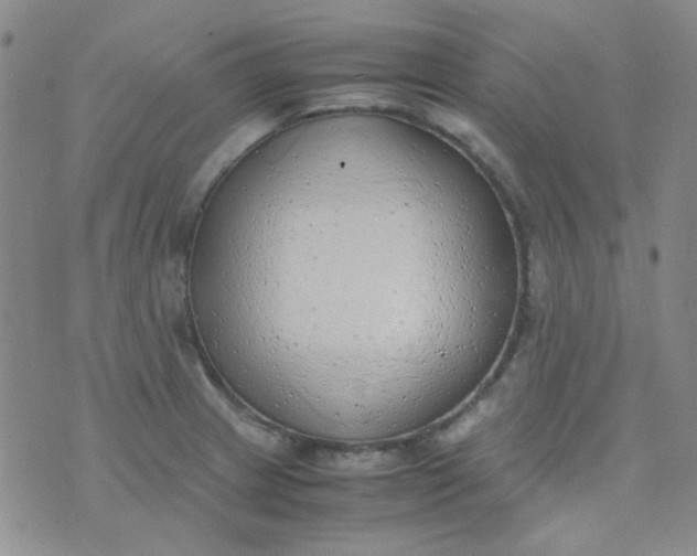 X0000070431233200606231910