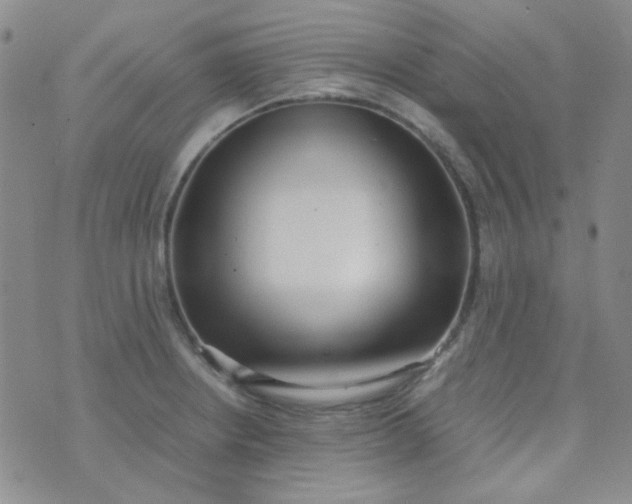 X0000070431234200606231910