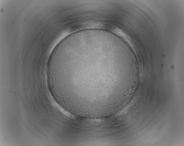 X0000070431235200606231910