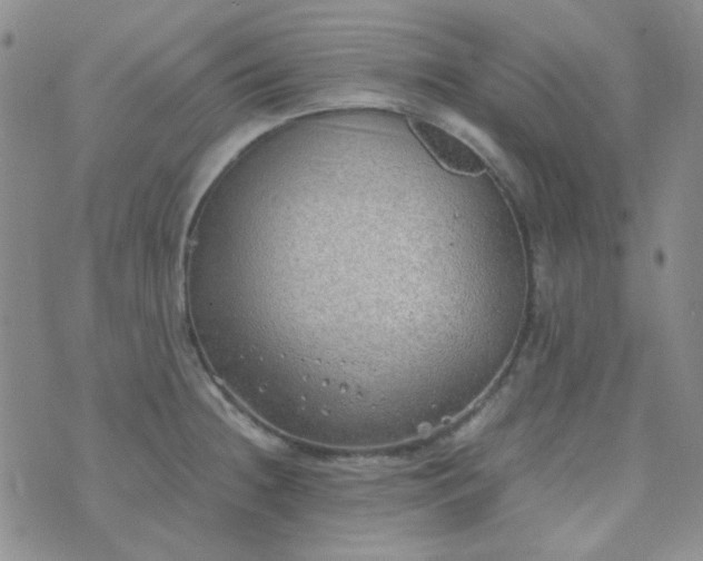 X0000070431236200606231910