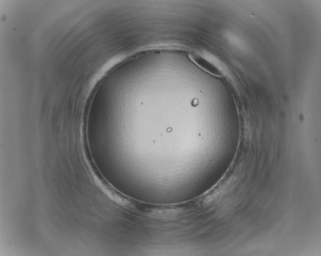 X0000070431237200606231910