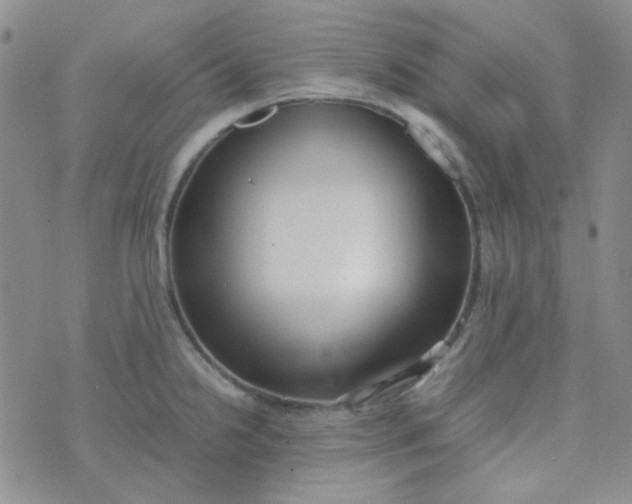 X0000070431238200606231910