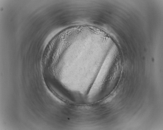 X0000070431239200606231910