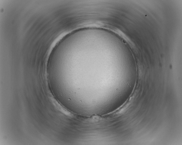 X0000070431240200606231910