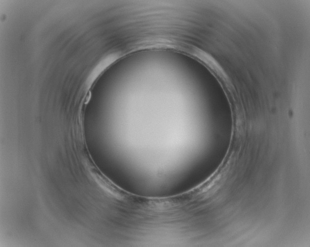 X0000070431242200606231910