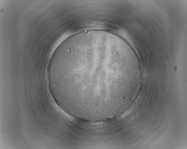 X0000070431243200606231910