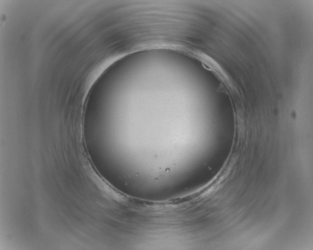 X0000070431244200606231910