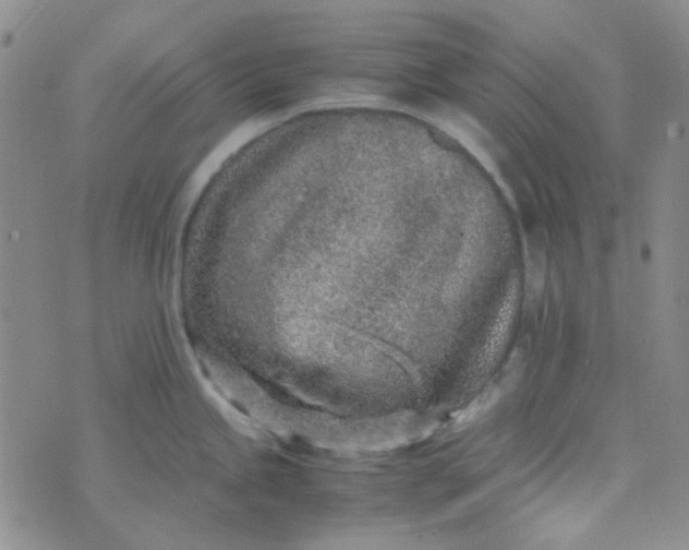 X0000070431245200606231910