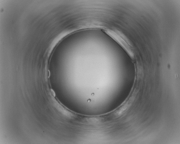 X0000070431246200606231910