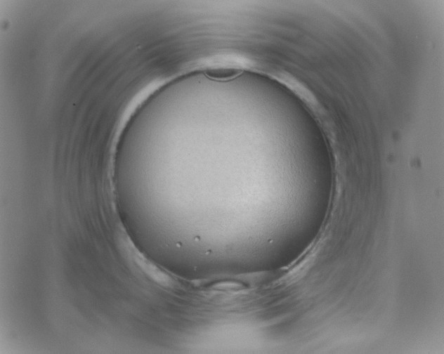 X0000070431248200606231910