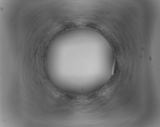 X0000070431249200606231909