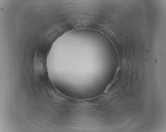 X0000070431250200606231909