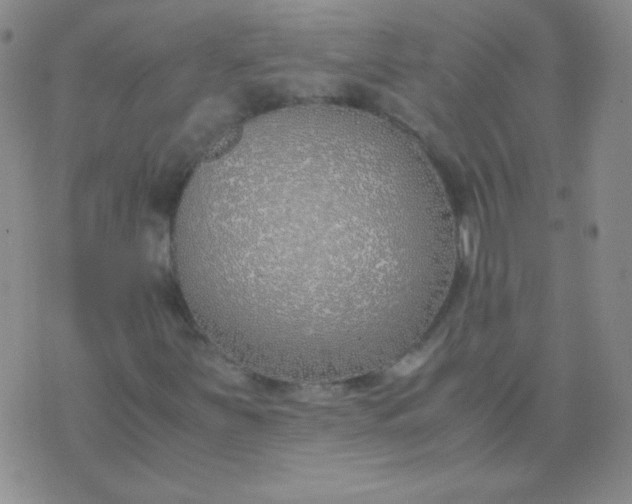 X0000070431251200606231909