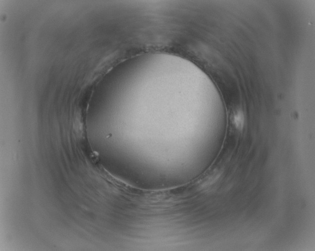 X0000070431252200606231909