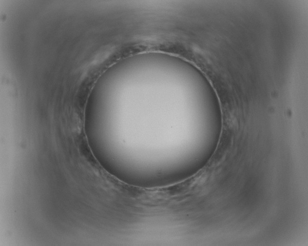 X0000070431253200606231909