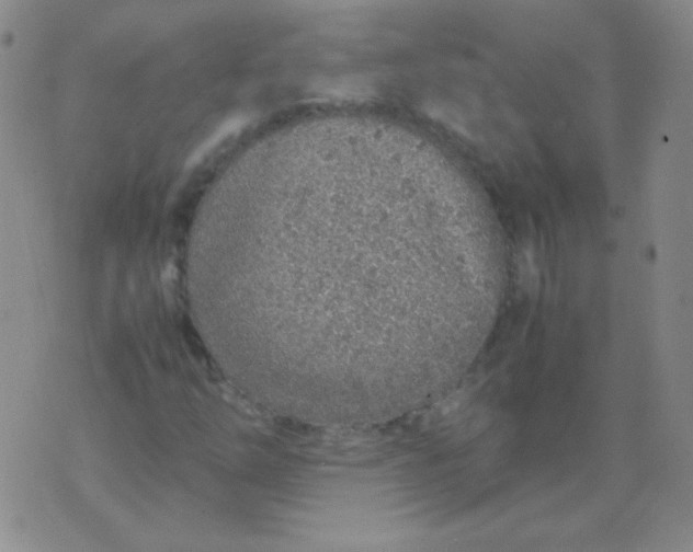 X0000070431254200606231909